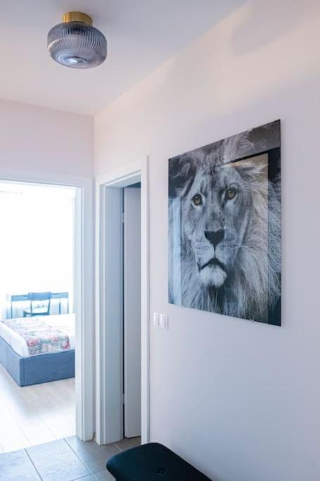 Tokiyo: A Lovely City Center 2 Bedrooms Apartment With Private Parking Sofia Luaran gambar